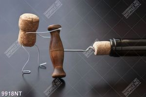 Tranh nút chai nghệ thuật 