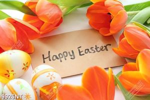Tranh happy Easter 9926NT