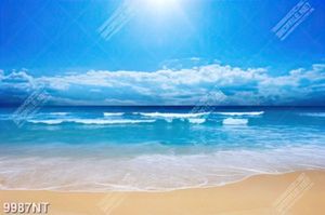Tranh bãi biển đẹp 9987NT