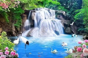 Tranh thiên nga trang trí tường