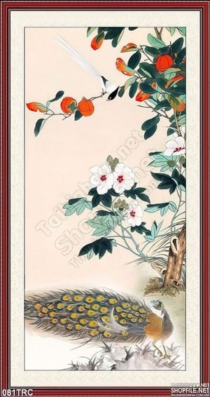 Tranh chim công trang trí tường