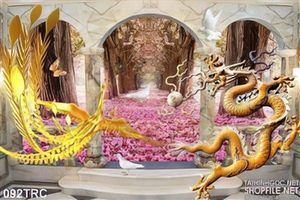 Tranh Rồng vfa phượng trang trí tường