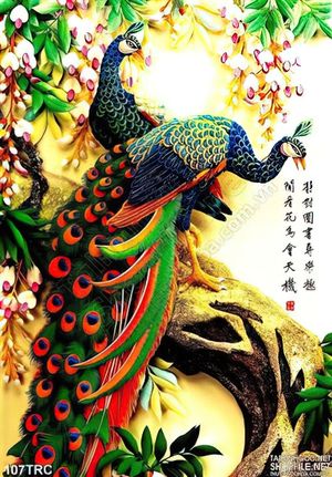 Tranh chim công thư pháp kim tiền