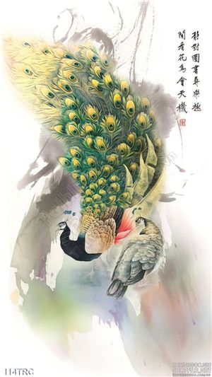Tranh chim công thư pháp treo tường
