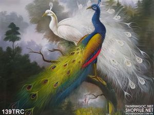 Tranh chim công phong thủy treo tường