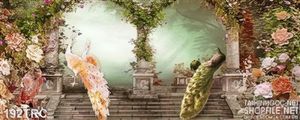 Tranh chim công treo tường đẹp