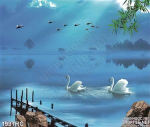 Tranh chim thiên nga dán tường đẹp