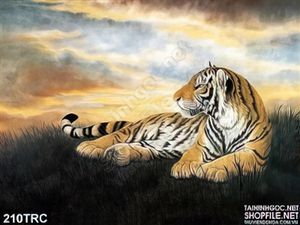 Tranh Rồng,công,phượng,thiên nga treo tường