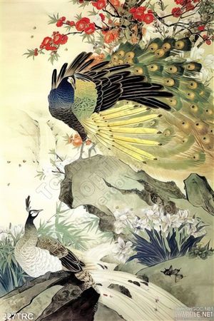 Tranh Rồng,công,phượng,thiên nga