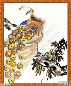 Tranh chim công treo tường phong thủy