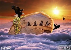 Tranh Rồng,công,phượng,thiên nga dán tường