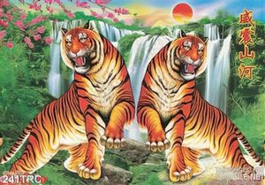 Tranh Rồng,công,phượng,thiên nga, hổ treo tường đẹp