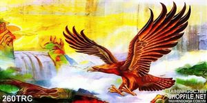 Tranh Rồng,công,phượng,thiên nga, đại bàng kim tiền