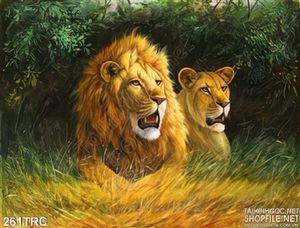 Tranh Rồng,công,phượng,thiên nga, sư tử trang trí phòng khách