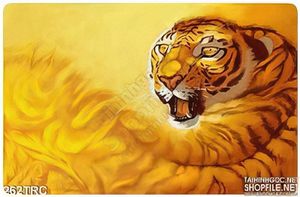 Tranh Rồng,công,phượng,thiên nga, hổ kim tiền