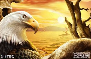 Tranh đại bàng trên sa mạc nghệ thuật in gạch men