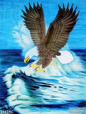 Tranh in canvas đại bàng trên sóng biển
