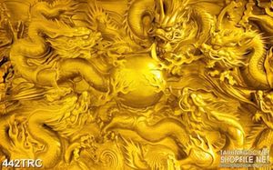 Tranh rồng thiêng tranh đấu in uv