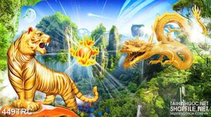 Tranh long tranh hổ đấu in canvas