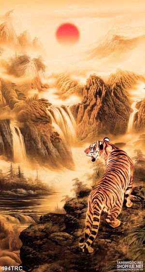Tranh in canvas hổ gầm trên núi hoàng hôn
