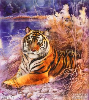 Tranh in canvas hổ uy bên rừng bông lau