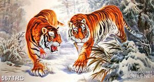Tranh 3d song hổ quyết đấu treo tường in kính