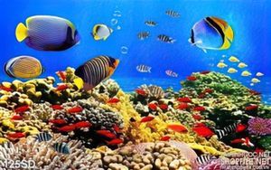 Tranh các loại cá và san hô dưới biển