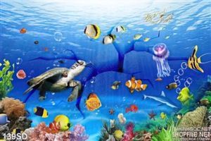 Tranh biển đại dương và các loại cá