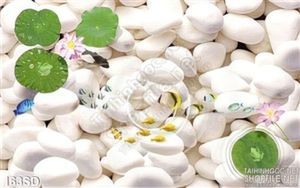 Tranh sỏi và lá sen chất lượng cao