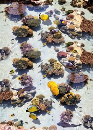 Tranh đại dương san hô và đàn cá file gốc in sàn 3D