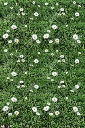 Tranh hoa trắng trên nền cỏ xanh in uv decor tường