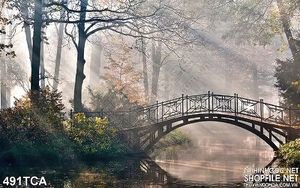 Tranh Sơn Dầu Châu Âu cây cầu trong rừng