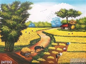 Trang làng quê Việt Nam cánh đồng lúa chín vàng