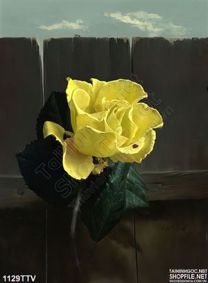 Tranh tĩnh vật hoa quả sơn dầu độc đáo