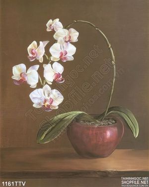 Tranh tĩnh vật hoa quả sơn dầu trang trí