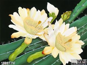 Tranh tĩnh vật hoa quả sơn dầu nghệ thuật