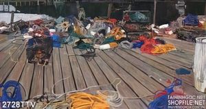 Tranh tĩnh vật hoa quả sơn dầu trang trí