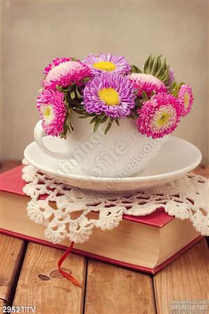 Tranh tĩnh vật hoa quả sơn dầu treo tường phòng khách