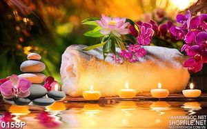 Tranh lụa phong cảnh spa in tường