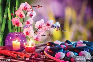 Tranh in trang trí hoa lan và đá sỏi