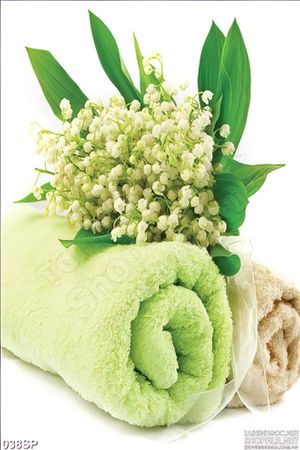 Tranh spa in canvas hoa baby đẹp