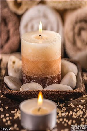 Tranh khổ dọc in spa cây nến thơm