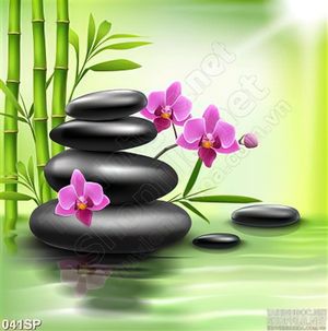 Tranh spa hoa lan và đá đen đẹp