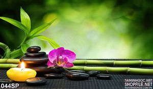 Tranh thiên nhiên hoa lan hồng và nến  vàng