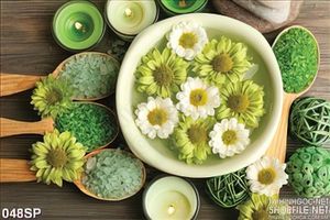 Tranh spa hoa cúc xanh đẹp và cốm
