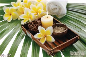 Tranh in tường spa hoa sứ vàng