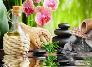 Tranh spa hoa lan và bình oliu