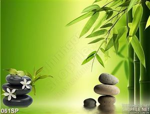 Tranh spa cành trúc đẹp và đá cuội