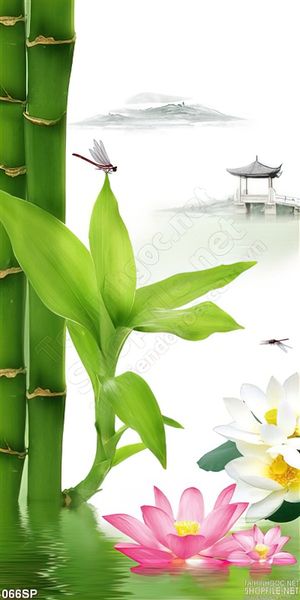 Tranh đẹp lá trúc và hoa sen