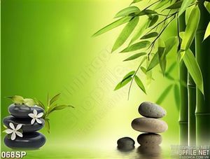 Tranh thiên nhiên spa trúc và đá nóng